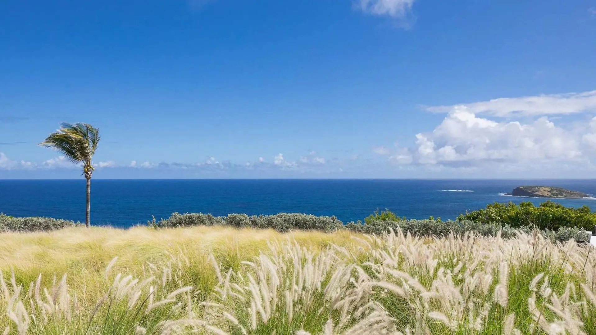 Vila Oceanfront Sunset Retreat With Heated Pool Gustavia